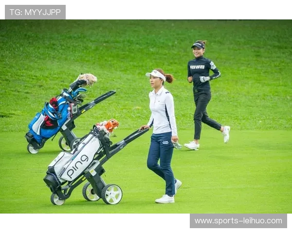 盈丰体育游戏如何改变传统体育博彩的参与方式