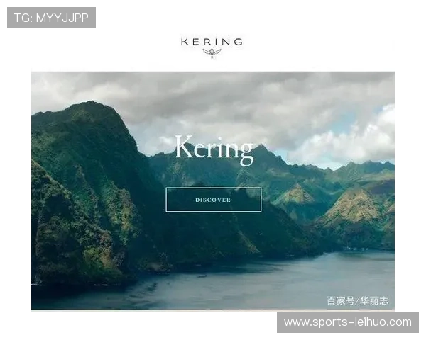 掌握开云app登录技巧提升账户安全性与使用效率指南