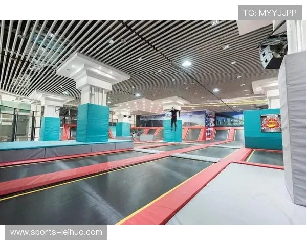 ayx爱游戏体育如何结合新技术推动体育娱乐行业的数字化转型