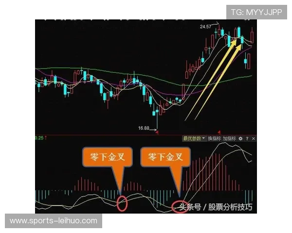 NG南宫滚球盘最新分析助你精准把握比赛走势与投注策略