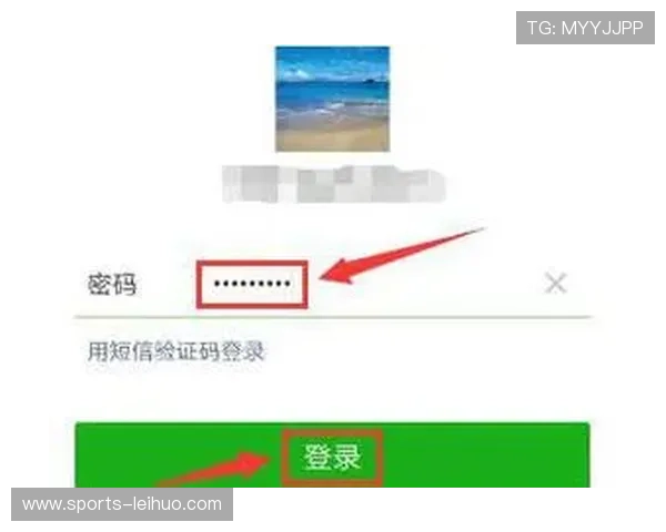 南宫手机登录界面介绍，了解登录入口和操作流程