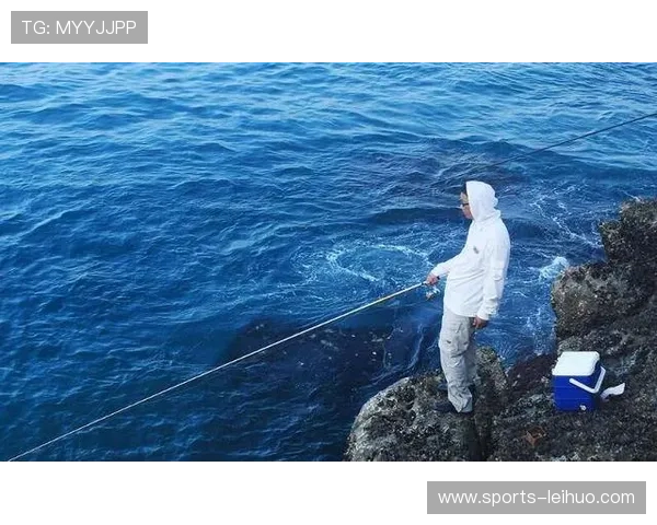 如何在电脑上快速下载安装鲸鱼体育官网电脑版,详细操作指南 如何在电脑上快速下载安装鲸鱼体育官网电脑版,详细操作指南