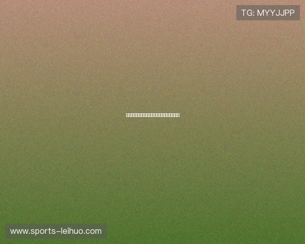 新西兰对埃及比赛场地容量及座位分布情况详解